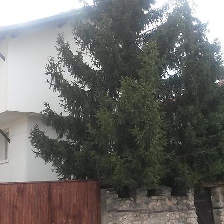 Guest House Khizhina - Easy Home Sapareva Bania Exterior foto
